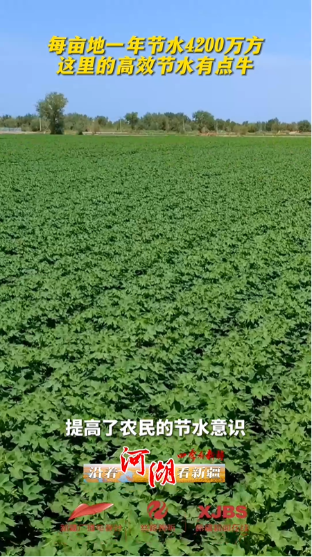 沿著河湖看新疆｜每畝地一年節(jié)水4200萬方，這里的高效節(jié)水有點牛!