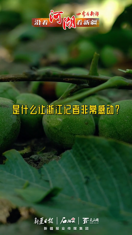 沿著河湖看新疆丨是什么讓浙江記者非常感動？