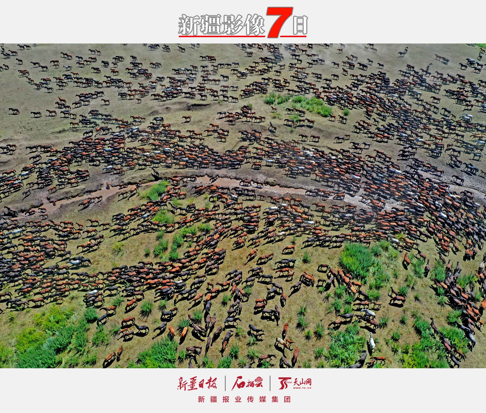 7月16日，第三十屆中國新疆伊犁天馬國際旅游節(jié)在昭蘇縣卡爾坎特大草原上開幕。此屆天馬節(jié)以“策馬相約三十載 攜手喜迎二十大”為主題，彰顯天馬文化、弘揚時代精神，推動昭蘇縣作為國家全域旅游示范區(qū)建設的戰(zhàn)略升級。李文武攝
