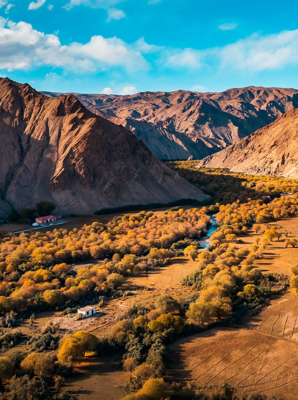 坎兒洋大峽谷秋日美景。壯美帕米爾公眾號(hào)