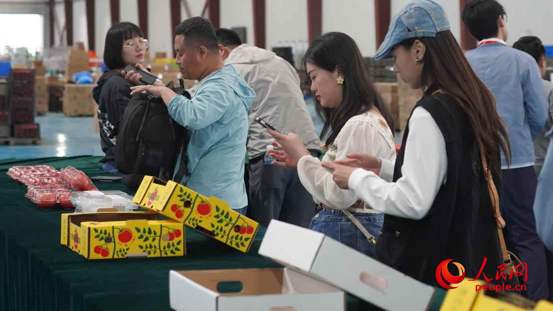 參加活動的正能量網(wǎng)絡名人代表正在拍攝展示的番茄產品。人民網(wǎng) 李龍攝