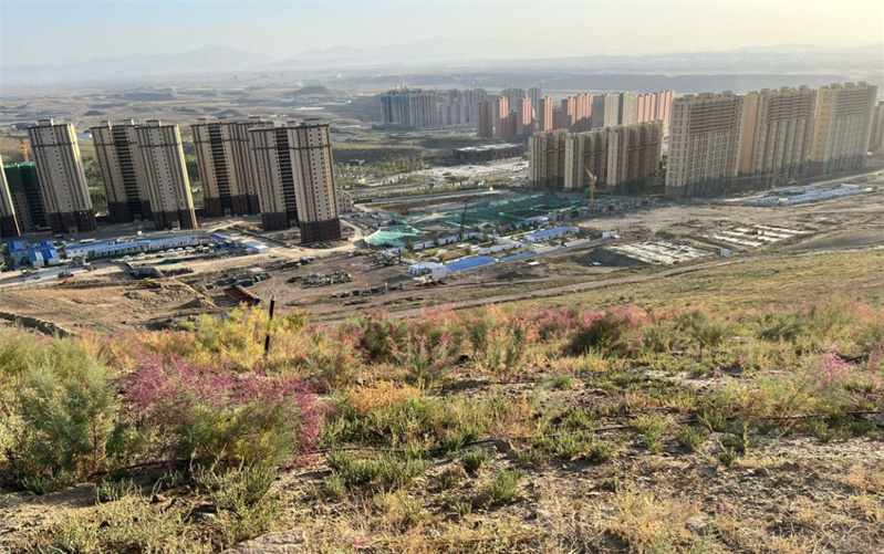 烏魯木齊大泉湖煤田火區(qū)治理后，地表植被得以恢復(fù)。新疆應(yīng)急管理廳供圖